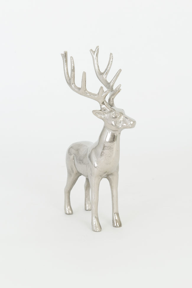 Hirsch GADDO MEDIUM